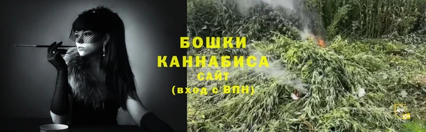 шишки Новозыбков