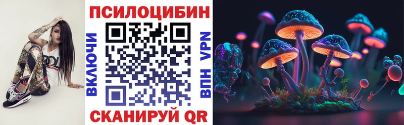 Галлюциногенные грибы Cubensis  Тарко-Сале 