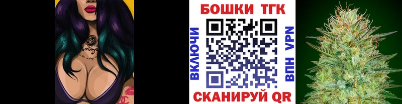 Бошки Шишки планчик Тарко-Сале